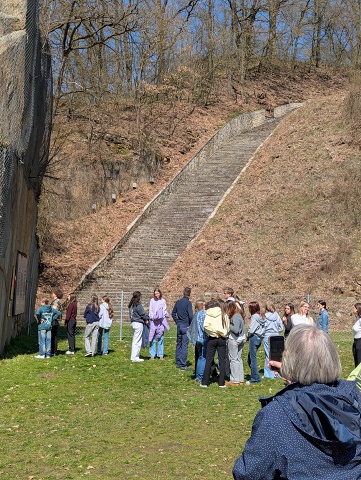 PXL 20250403 114129717