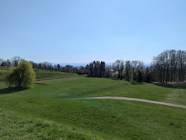 PXL 20250403 123219809