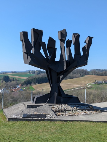 PXL 20250403 124017245