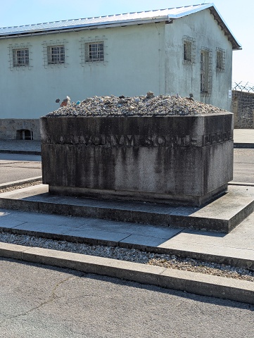 PXL 20250403 131945082