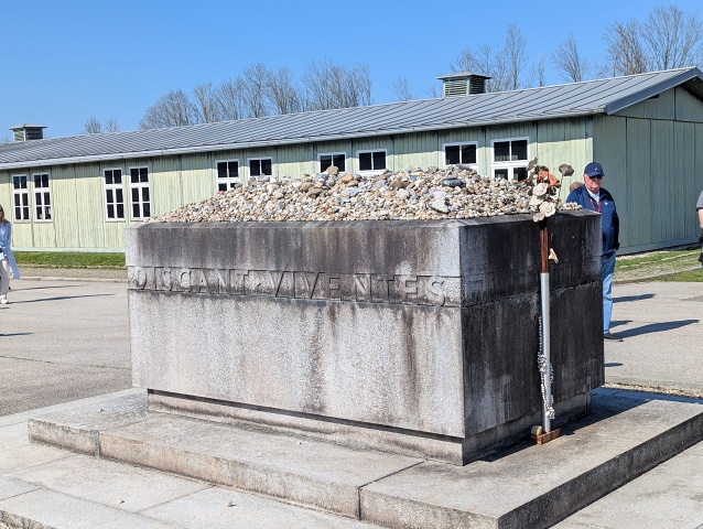 PXL 20250403 132012333