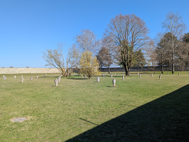 PXL 20250403 132249382