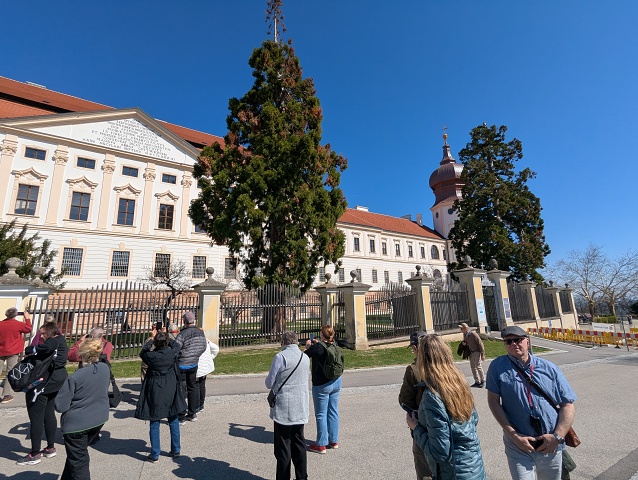 PXL 20250404 093216828