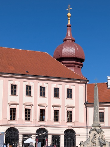 PXL 20250404 093600442