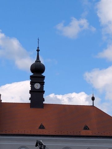 PXL 20250407 083524602