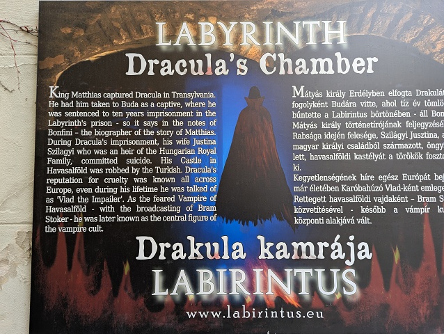 PXL 20250407 085015868